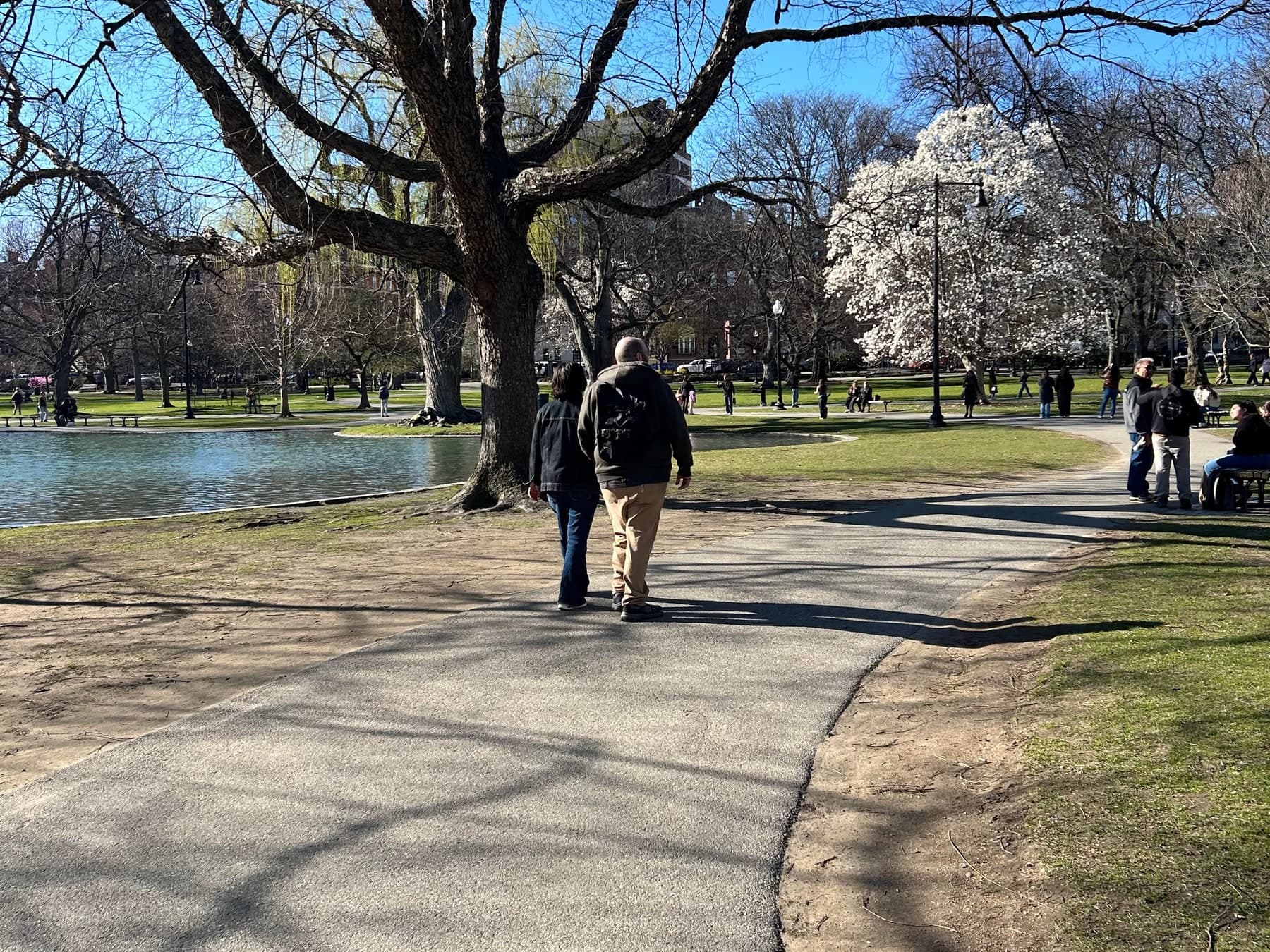People walking through a city park