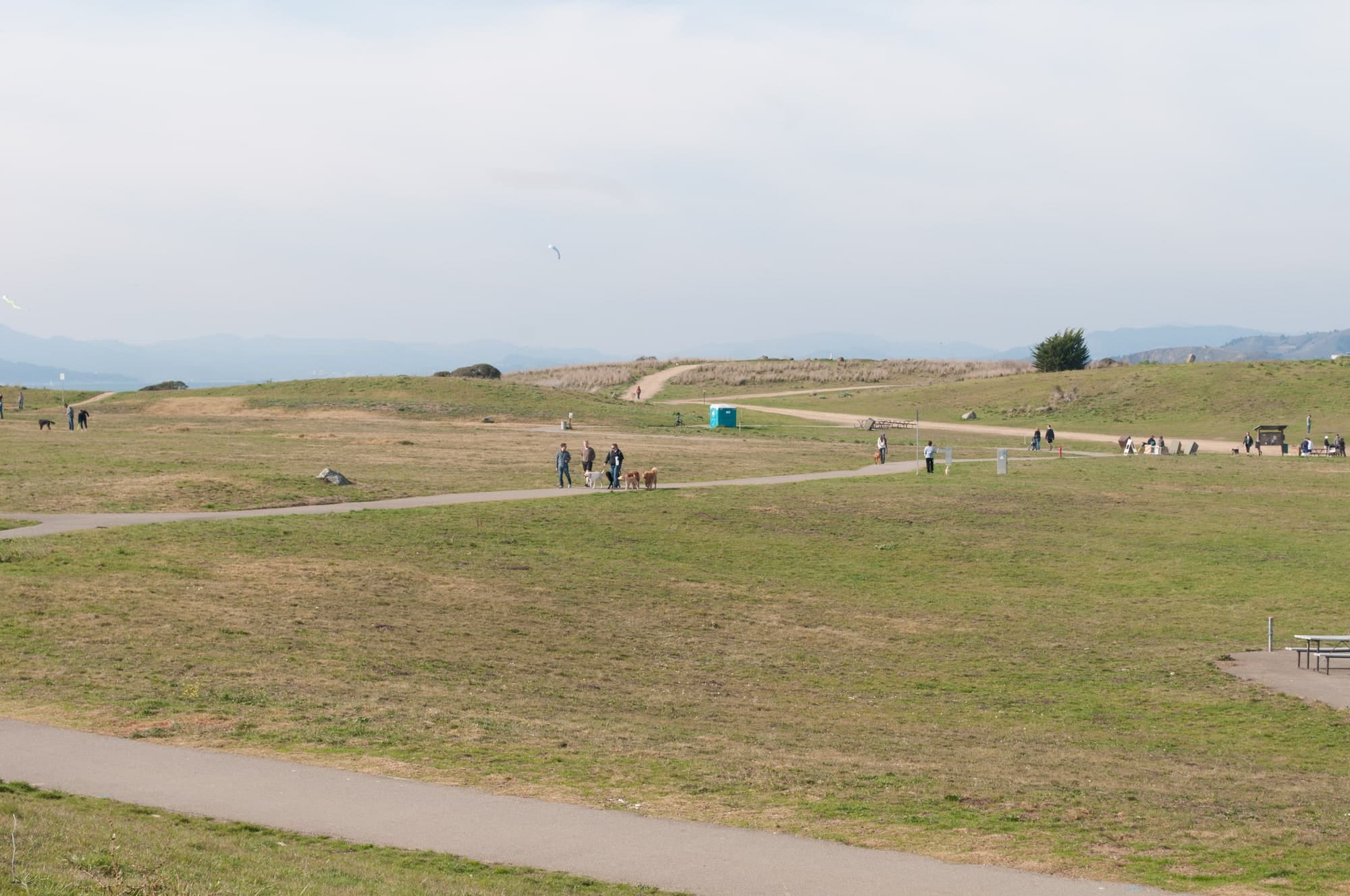 People walking along a winding park path