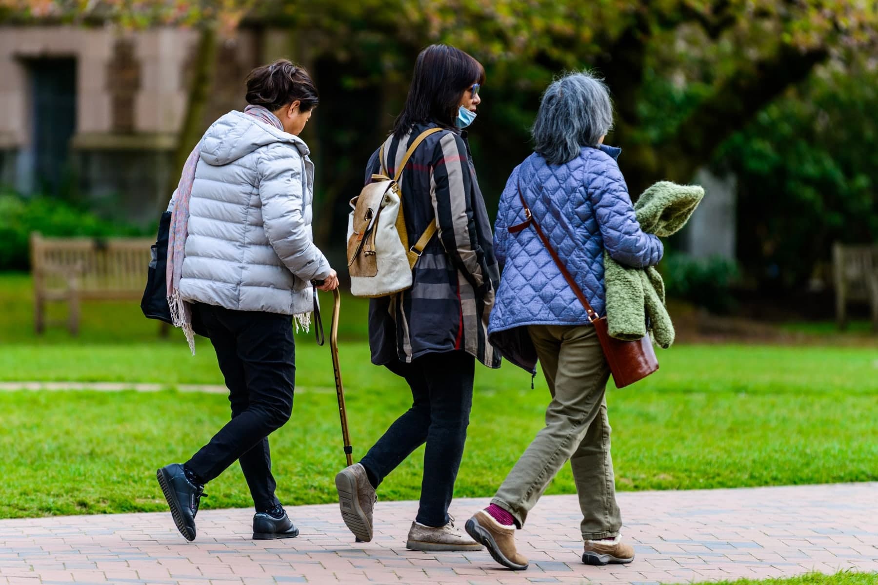 Older friends walking together in a sunny park