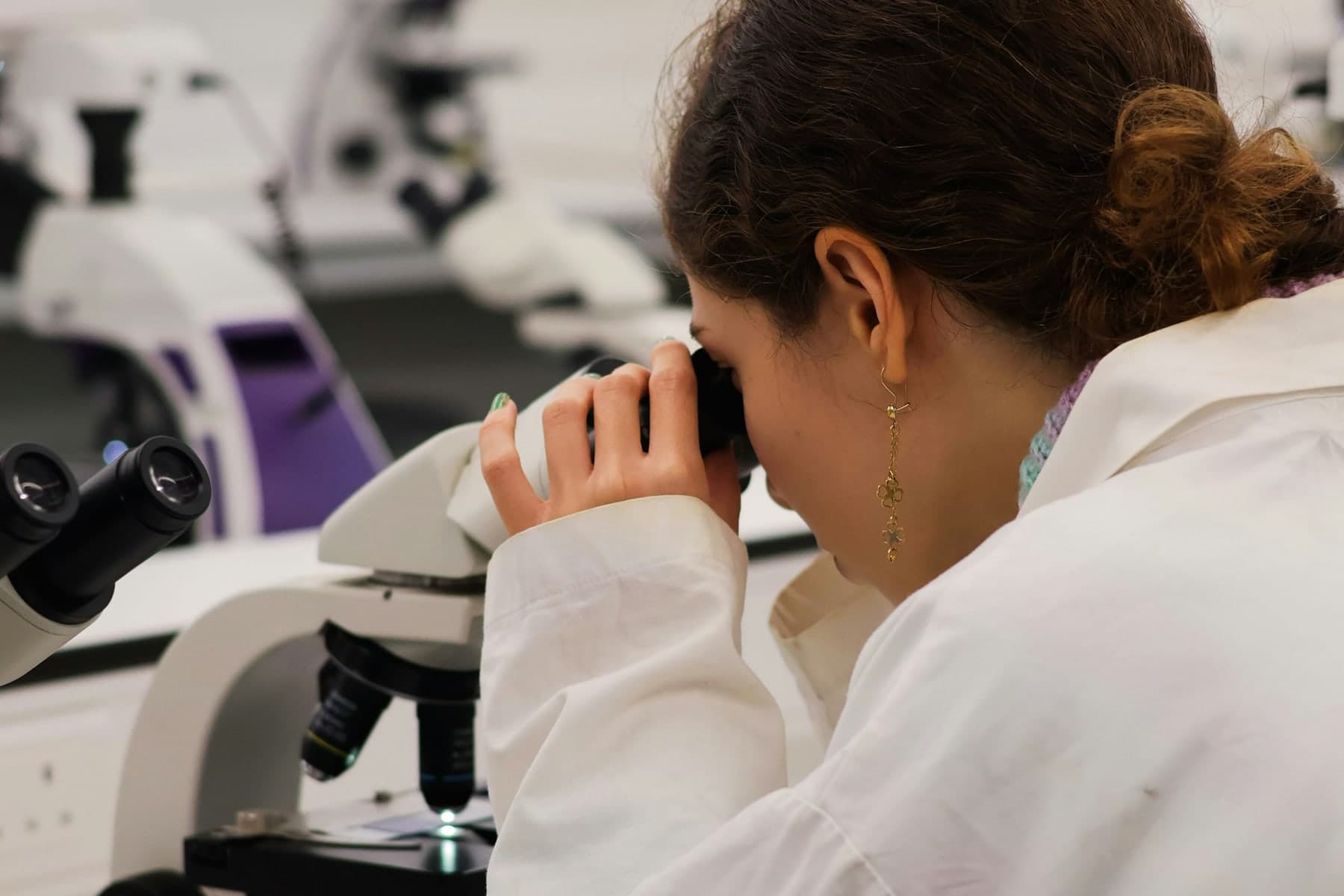 Scientist examining biological research samples in a laboratory